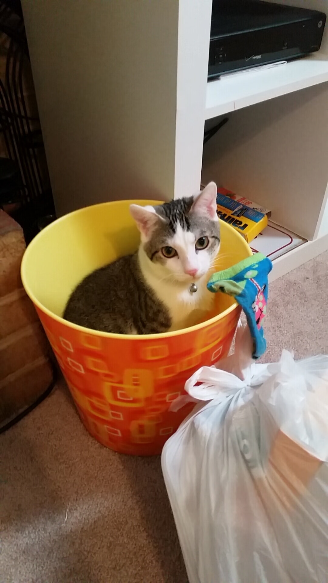 “青少年足球文化交流深入基层,丰富多彩的体育盛事”,开展青少年足球训练的意义