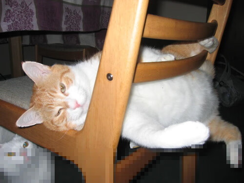 开云体育官网-亚洲荣耀：泰国队大战俄罗斯，中场对决，泰国联赛足球