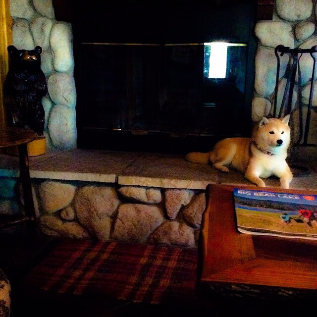 开云在线-【训练秘籍】专业选手每日练习的五个核心环节，训练核心有什么好处