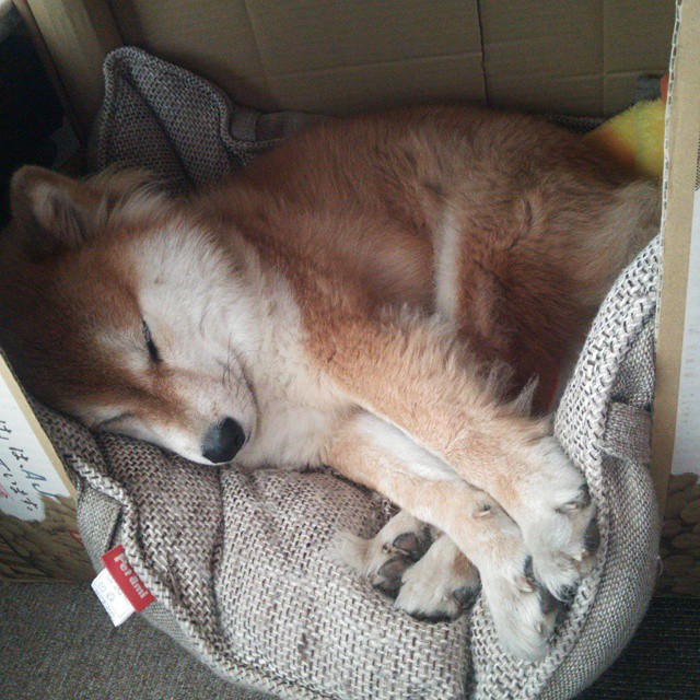 云游戏技术成熟，电竞门槛降低，云游戏 技术