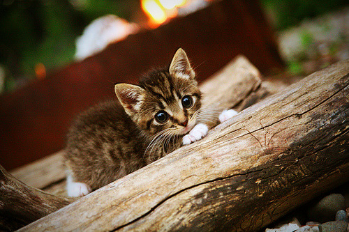 乌拉圭男足在巴黎奥运会比赛中表现出色,赢得银牌,乌拉圭男足名单