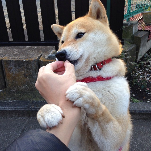 开云投注-乌帕梅卡诺续约拜仁慕尼黑，乌帕梅卡诺 拜仁