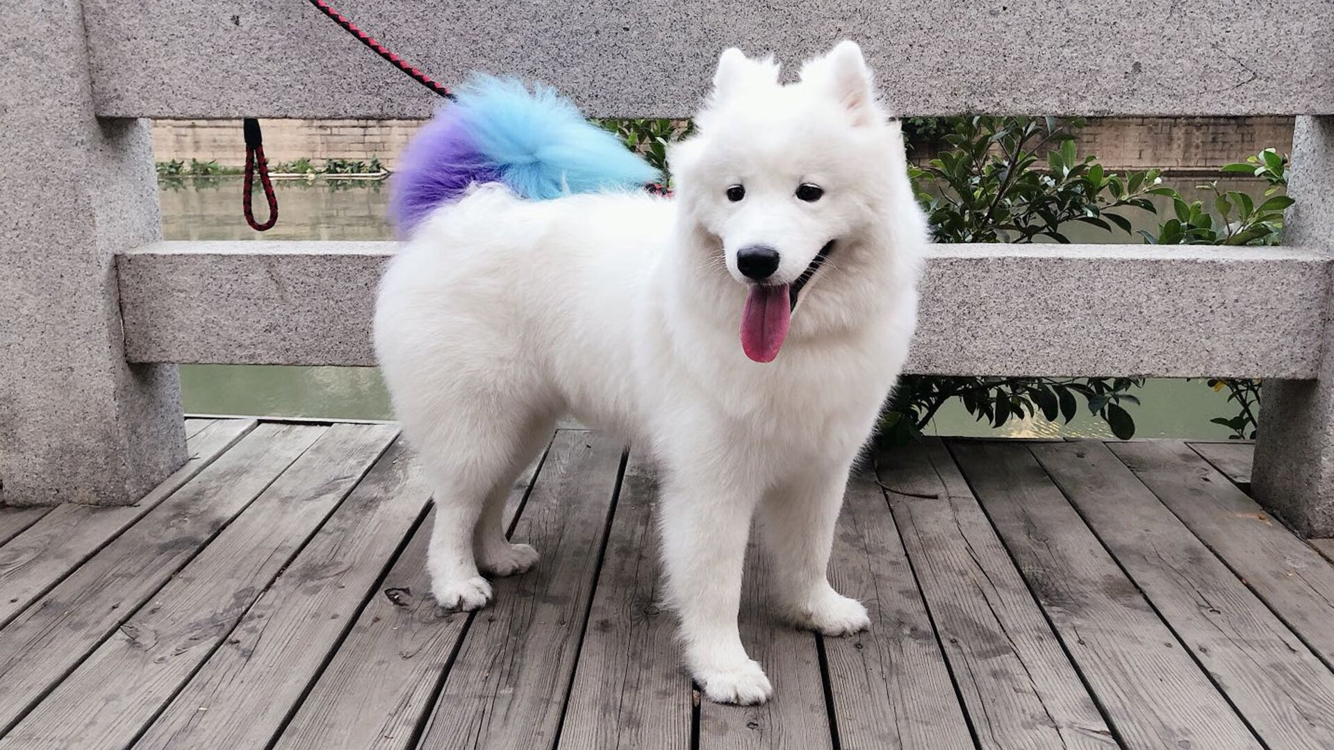 全球智勇棋战：体育精神在脑力竞赛中体现