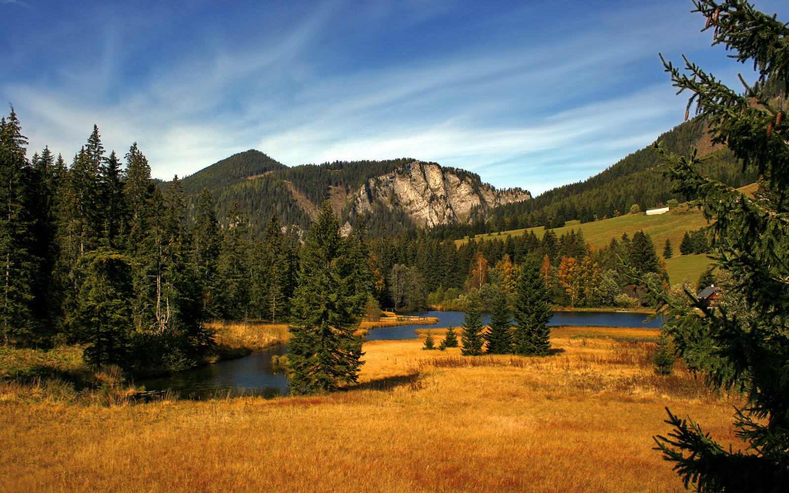 欧冠现场观众:你看到了哪些难忘的精彩瞬间?,欧冠经典回顾