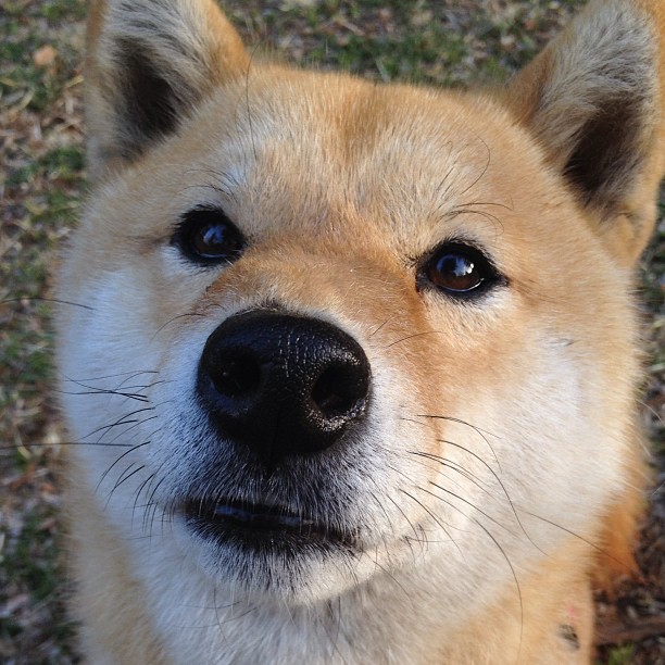 突发故障:车手如何应对临时危机?,司机临时遇到车辆故障