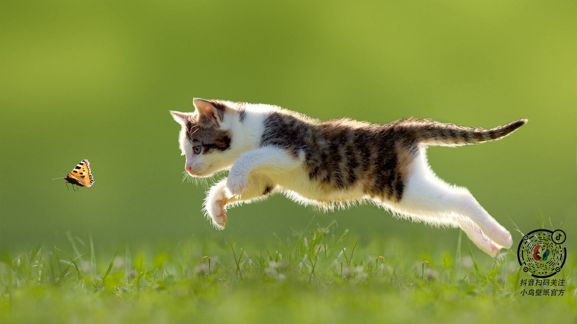 开云体育安全平台-瞬间回顾：比赛中的惊喜瞬间集锦！，比赛精彩时刻