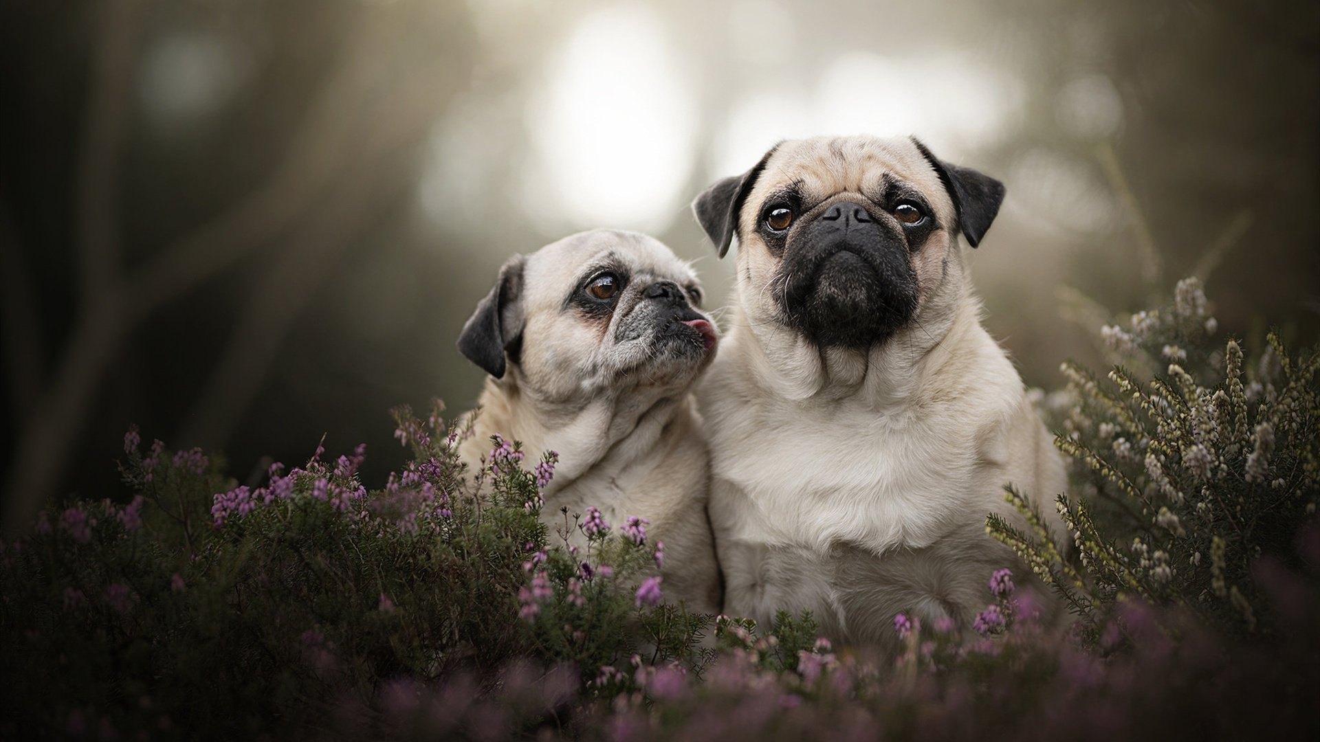 青少年“未来领袖”篮球青训营在杭州持续火热，培养行业新秀，杭州篮球训练营18岁