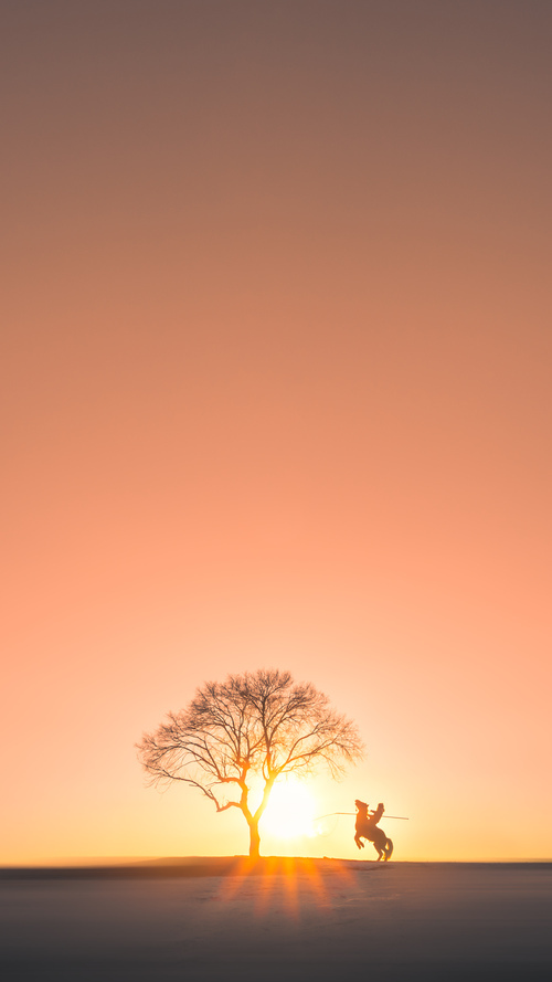 弗拉门戈球员转会传闻升级，弗拉门戈比赛视频