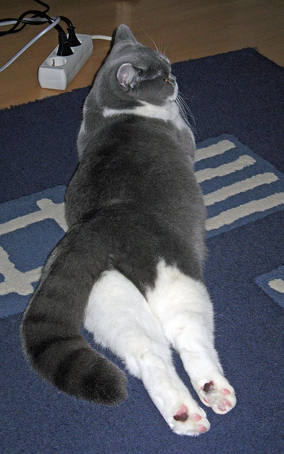 战至最后一刻，看谁能决胜关键！，战至终章的前一句是什么