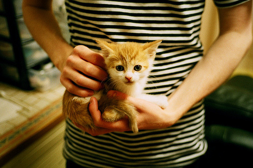 高校体育专业课程体系优化升级，高校体育专业课程体系优化升级的意义