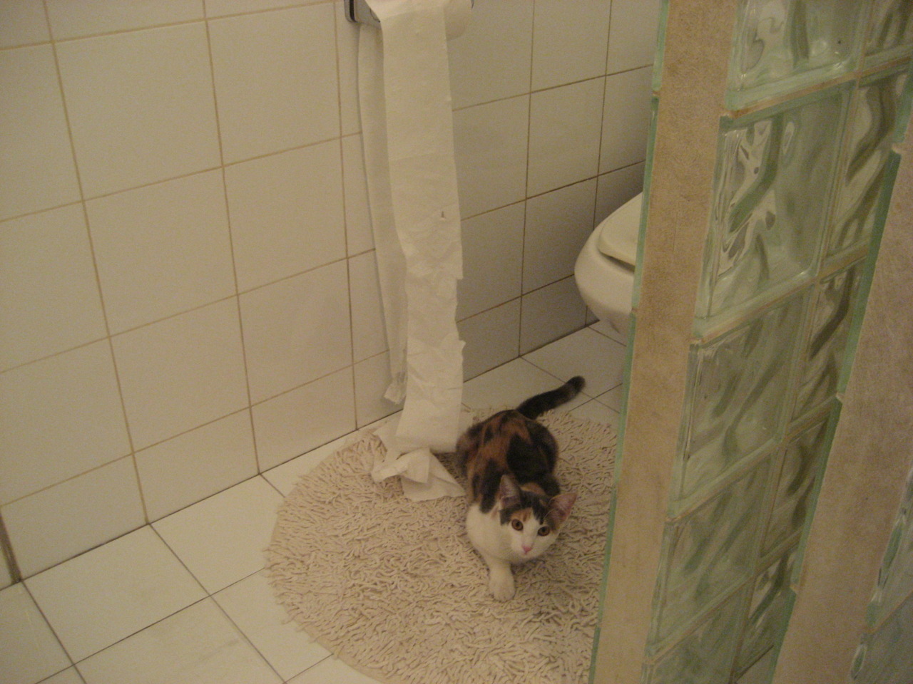 开云app安全认证-印度队未来发展方向：用科技提升比赛水平，印度潜力巨大